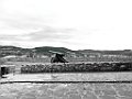 P1050245 copia